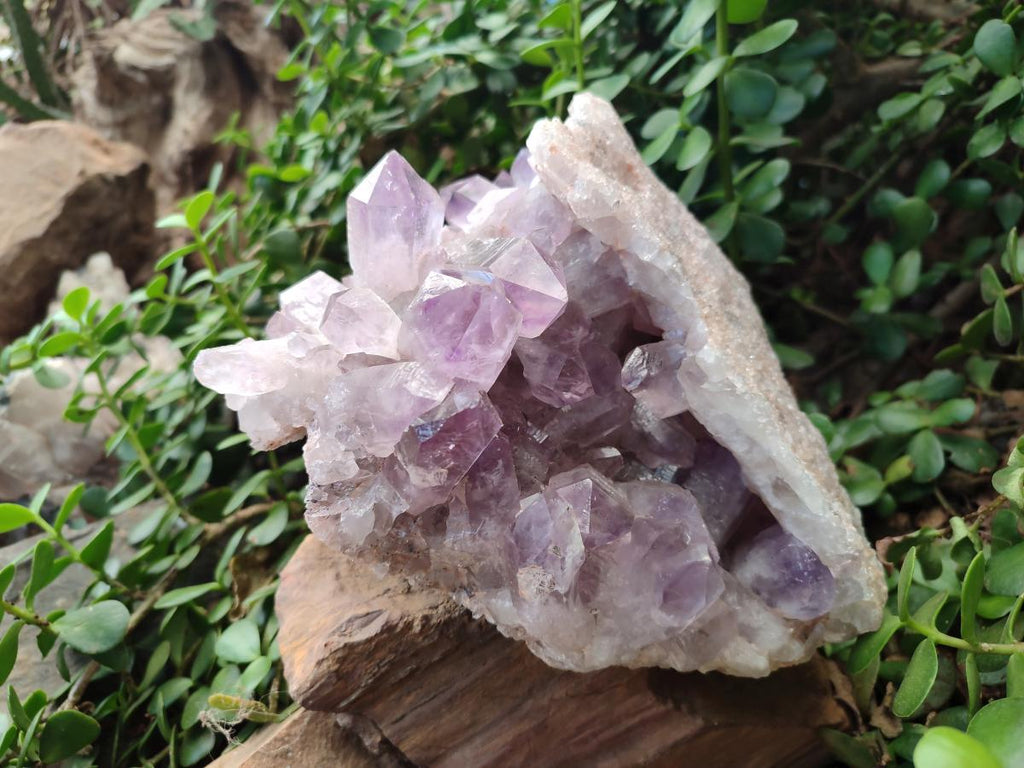 Natural Large Jacaranda Amethyst Crystal Cluster x 1 From Mumbwa, Zambia - Toprock Gemstones and Minerals 