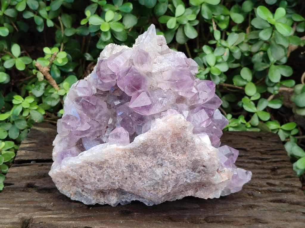 Natural Large Jacaranda Amethyst Crystal Cluster x 1 From Mumbwa, Zambia - Toprock Gemstones and Minerals 