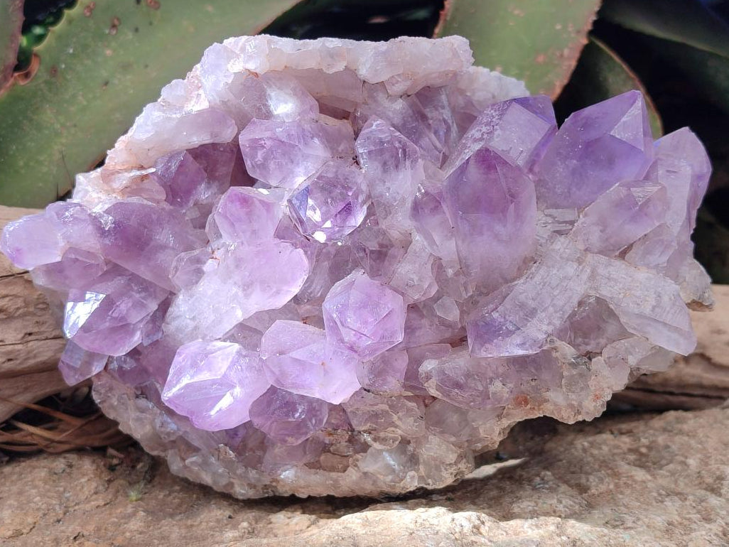 Natural Large Jacaranda Amethyst Crystal Cluster x 1 From Mumbwa, Zambia