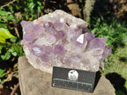 Natural Large Jacaranda Amethyst Crystal Cluster x 1 From Mumbwa, Zambia - Toprock Gemstones and Minerals 