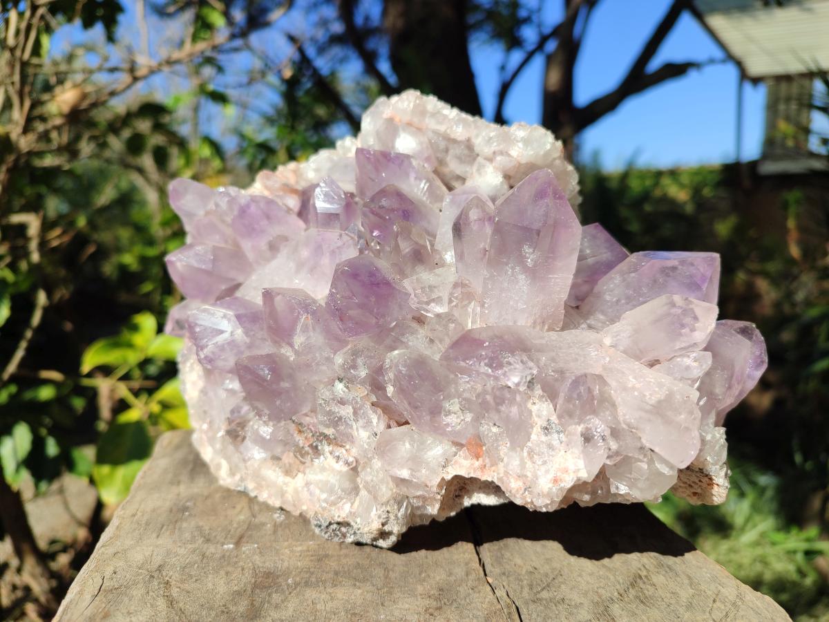 Natural Large Jacaranda Amethyst Crystal Cluster x 1 From Mumbwa, Zambia - Toprock Gemstones and Minerals 
