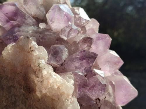Natural Large Jacaranda Amethyst Crystal Cluster x 1 From Mumbwa, Zambia