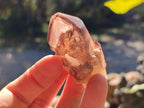 Natural Red Hematoid Quartz Crystals and Clusters x 12 From Karoi, Zimbabwe - Toprock Gemstones and Minerals 