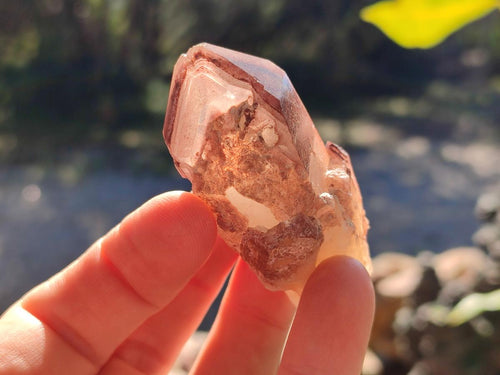 Natural Red Hematoid Quartz Crystals and Clusters x 12 From Karoi, Zimbabwe