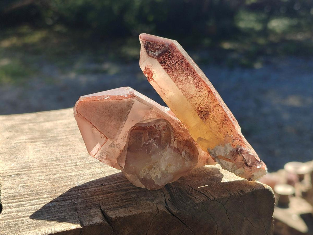 Natural Red Hematoid Quartz Crystals and Clusters x 12 From Karoi, Zimbabwe - Toprock Gemstones and Minerals 