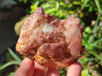 Natural Red Hematoid Quartz Crystals and Clusters x 12 From Karoi, Zimbabwe - Toprock Gemstones and Minerals 