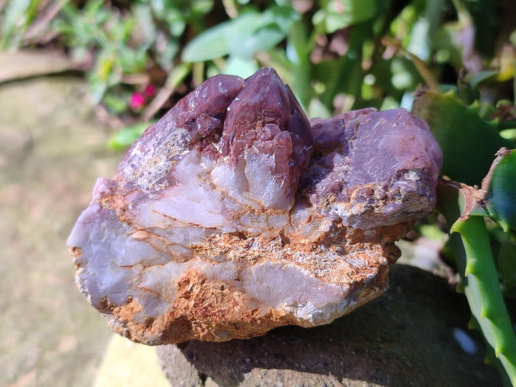 Natural Red Hematoid Quartz Crystals and Clusters x 12 From Karoi, Zimbabwe - Toprock Gemstones and Minerals 