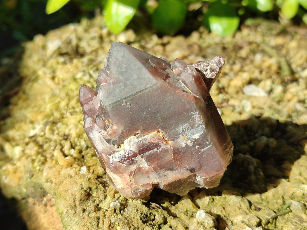 Natural Red Hematoid Quartz Crystals and Clusters x 12 From Karoi, Zimbabwe - Toprock Gemstones and Minerals 