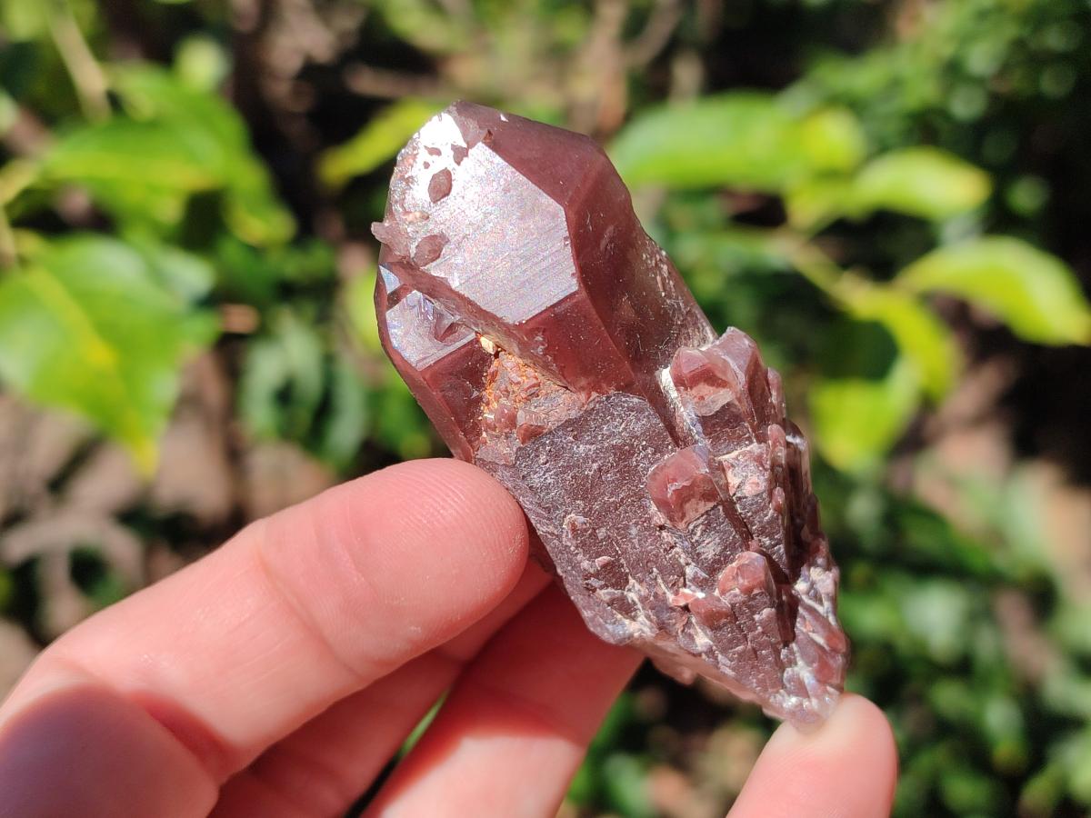 Natural Red Hematoid Quartz Crystals and Clusters x 12 From Karoi, Zimbabwe