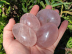Polished Gemmy Rose Quartz Palm Stones x 24 From Madagascar - Toprock Gemstones and Minerals 