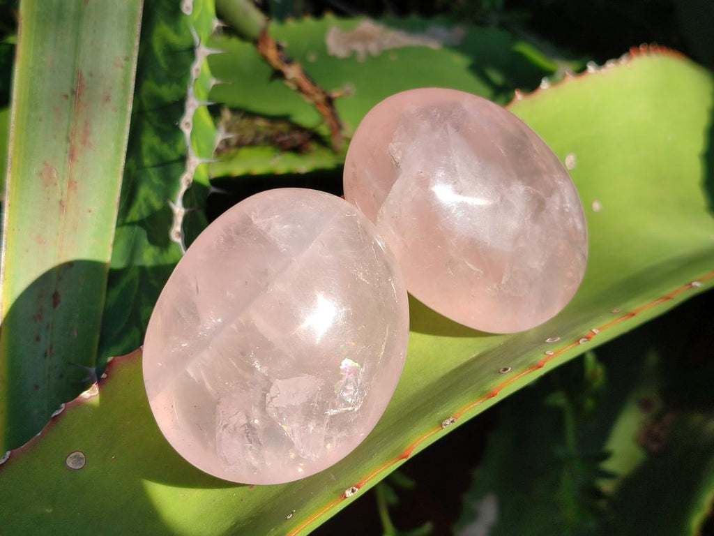 Polished Gemmy Rose Quartz Palm Stones x 24 From Madagascar - Toprock Gemstones and Minerals 