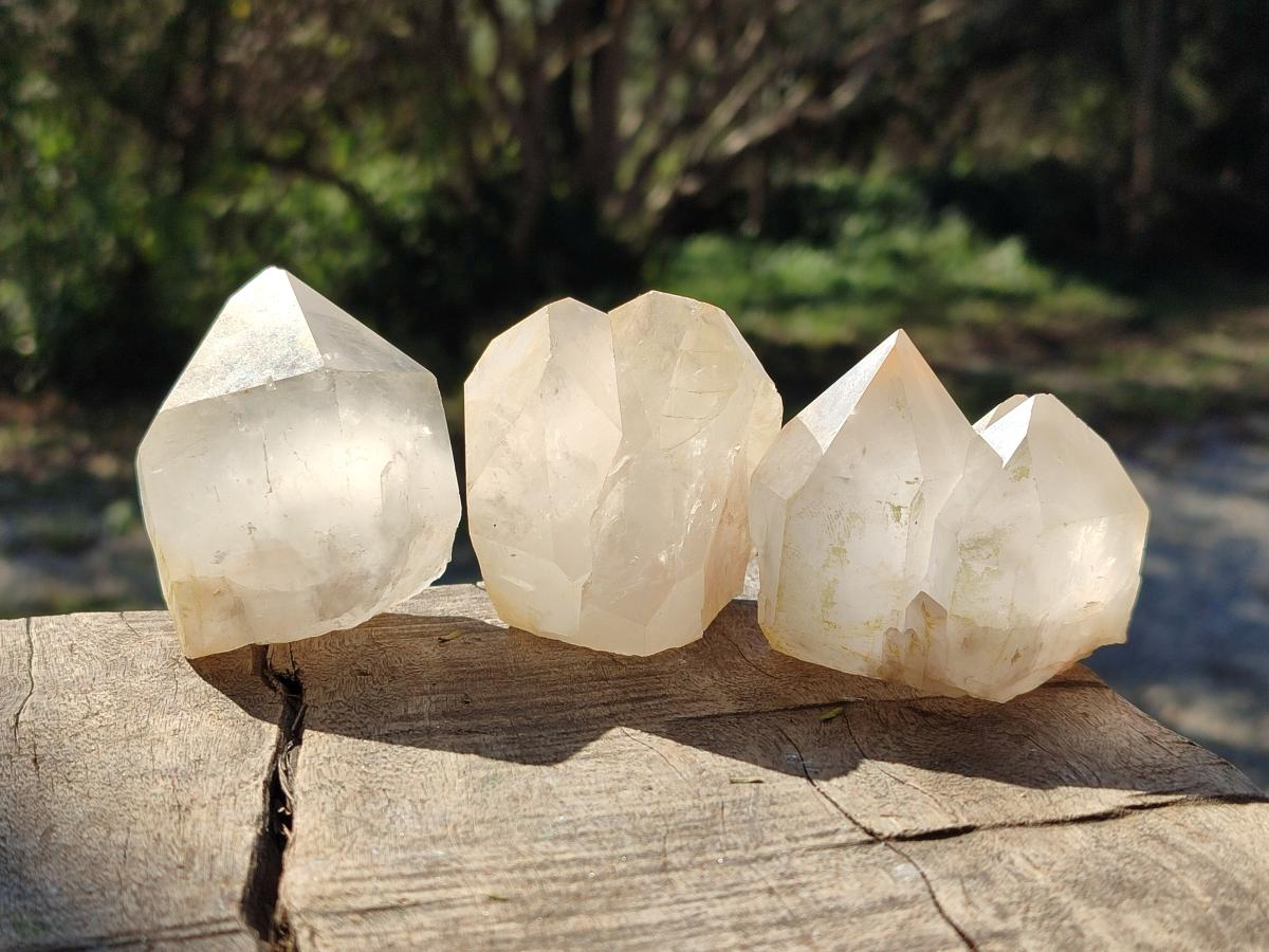 Natural Castle Quartz Crystals x 12 From Madagascar