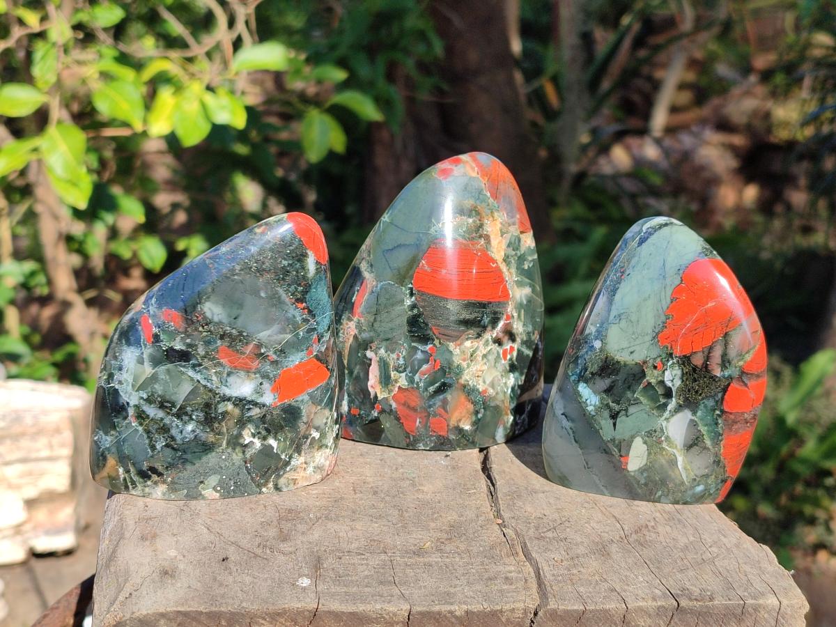 Polished Bloodstone Standing Display Pieces x 3 From Swaziland - Toprock Gemstones and Minerals 
