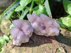Natural Spirit Amethyst Crystals and Clusters x 20 From Boekenhouthoek, South Africa - Toprock Gemstones and Minerals 