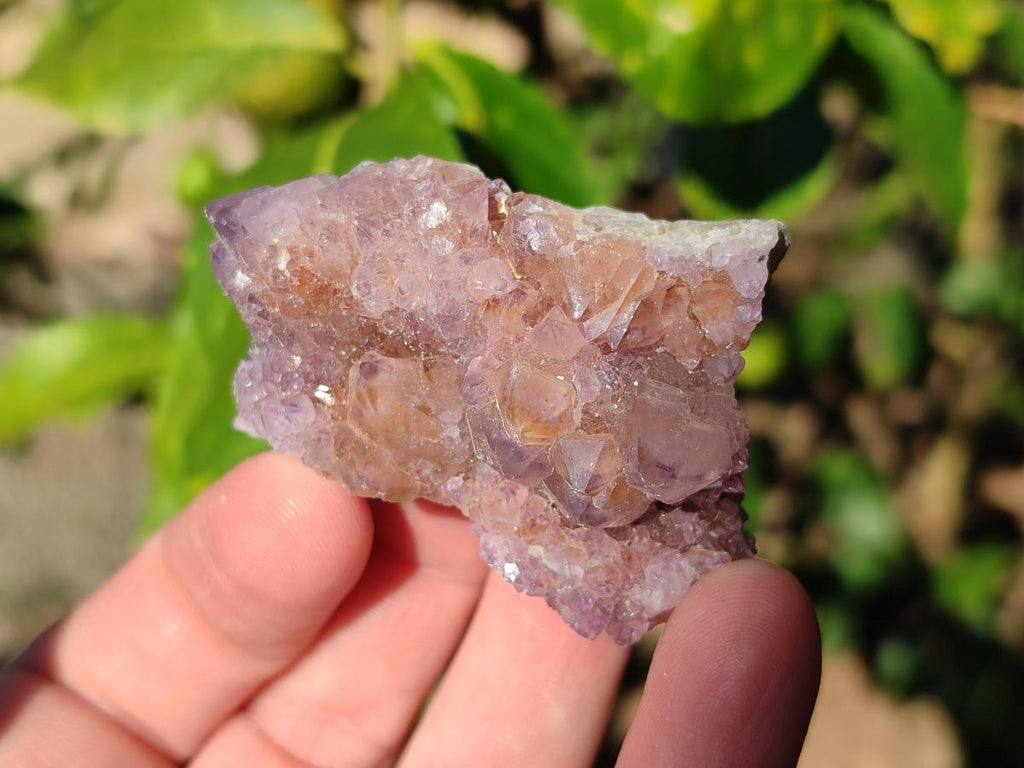 Natural Spirit Amethyst Crystals and Clusters x 20 From Boekenhouthoek, South Africa - Toprock Gemstones and Minerals 