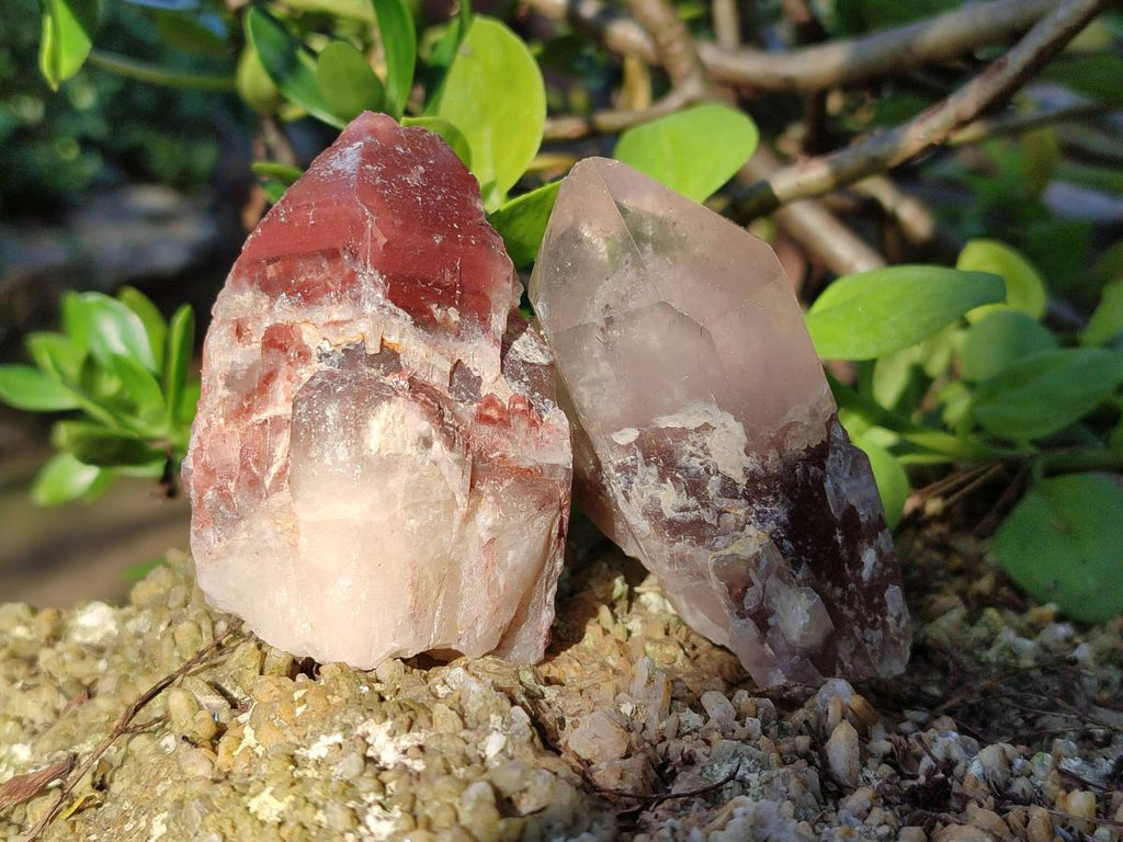 Natural Red Hematoid Quartz Crystals and  Clusters x 13 From Karoi, Zimbabwe - Toprock Gemstones and Minerals 
