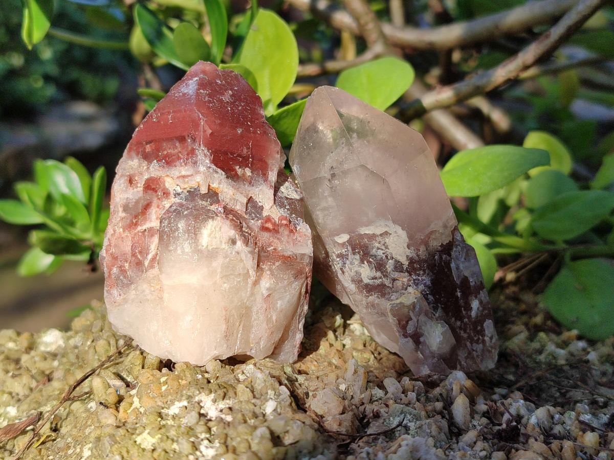 Natural Red Hematoid Quartz Crystals and  Clusters x 13 From Karoi, Zimbabwe - Toprock Gemstones and Minerals 