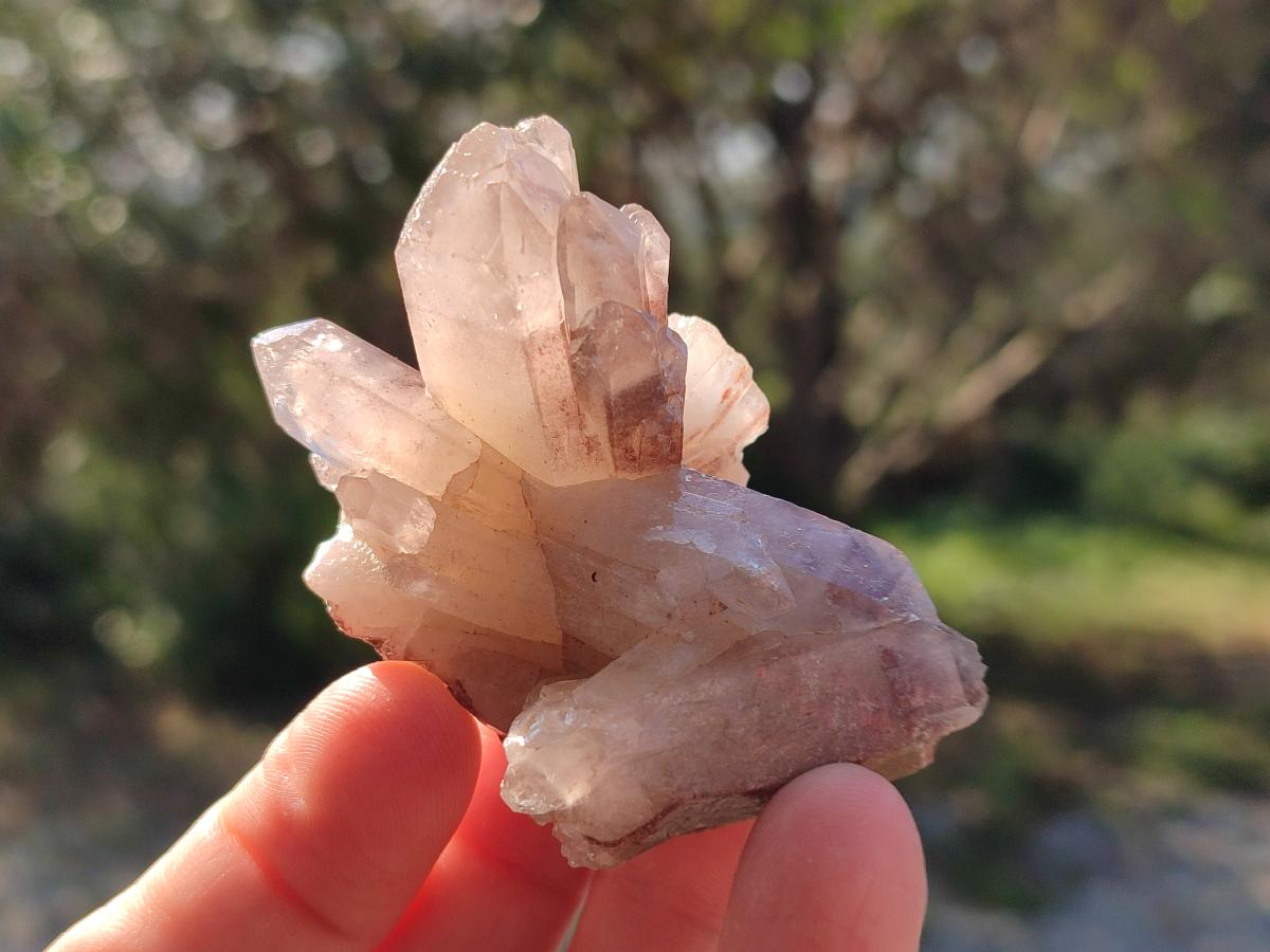 Natural Red Hematoid Quartz Crystals and  Clusters x 13 From Karoi, Zimbabwe - Toprock Gemstones and Minerals 