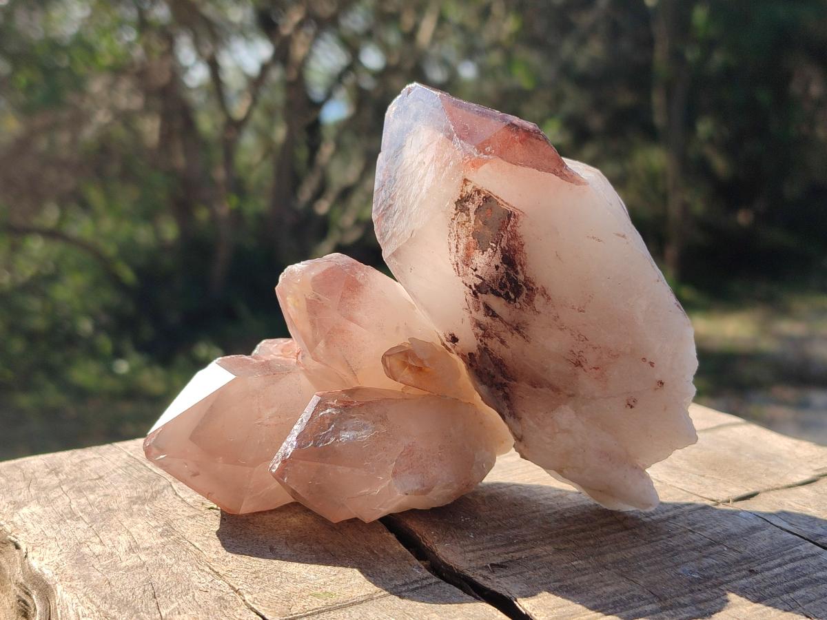 Natural Red Hematoid Quartz Crystals and  Clusters x 13 From Karoi, Zimbabwe - Toprock Gemstones and Minerals 