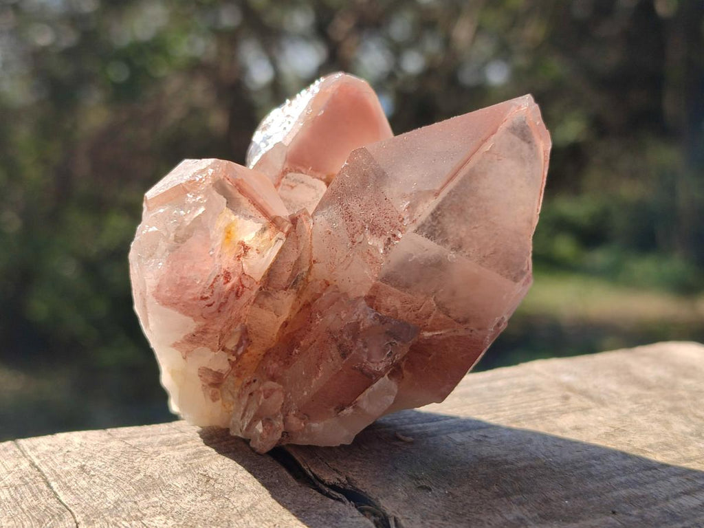 Natural Red Hematoid Quartz Crystals and  Clusters x 13 From Karoi, Zimbabwe - Toprock Gemstones and Minerals 