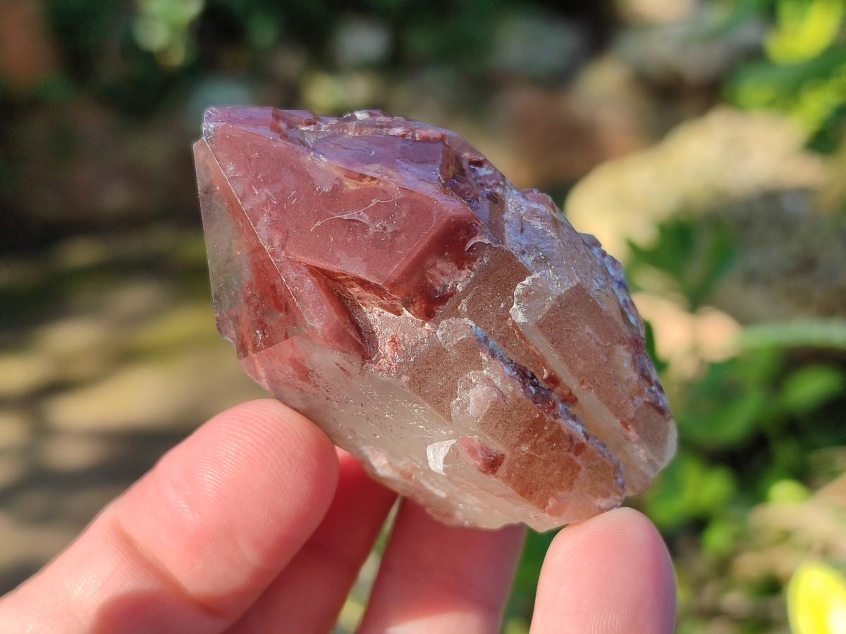 Natural Red Hematoid Quartz Crystals and  Clusters x 13 From Karoi, Zimbabwe