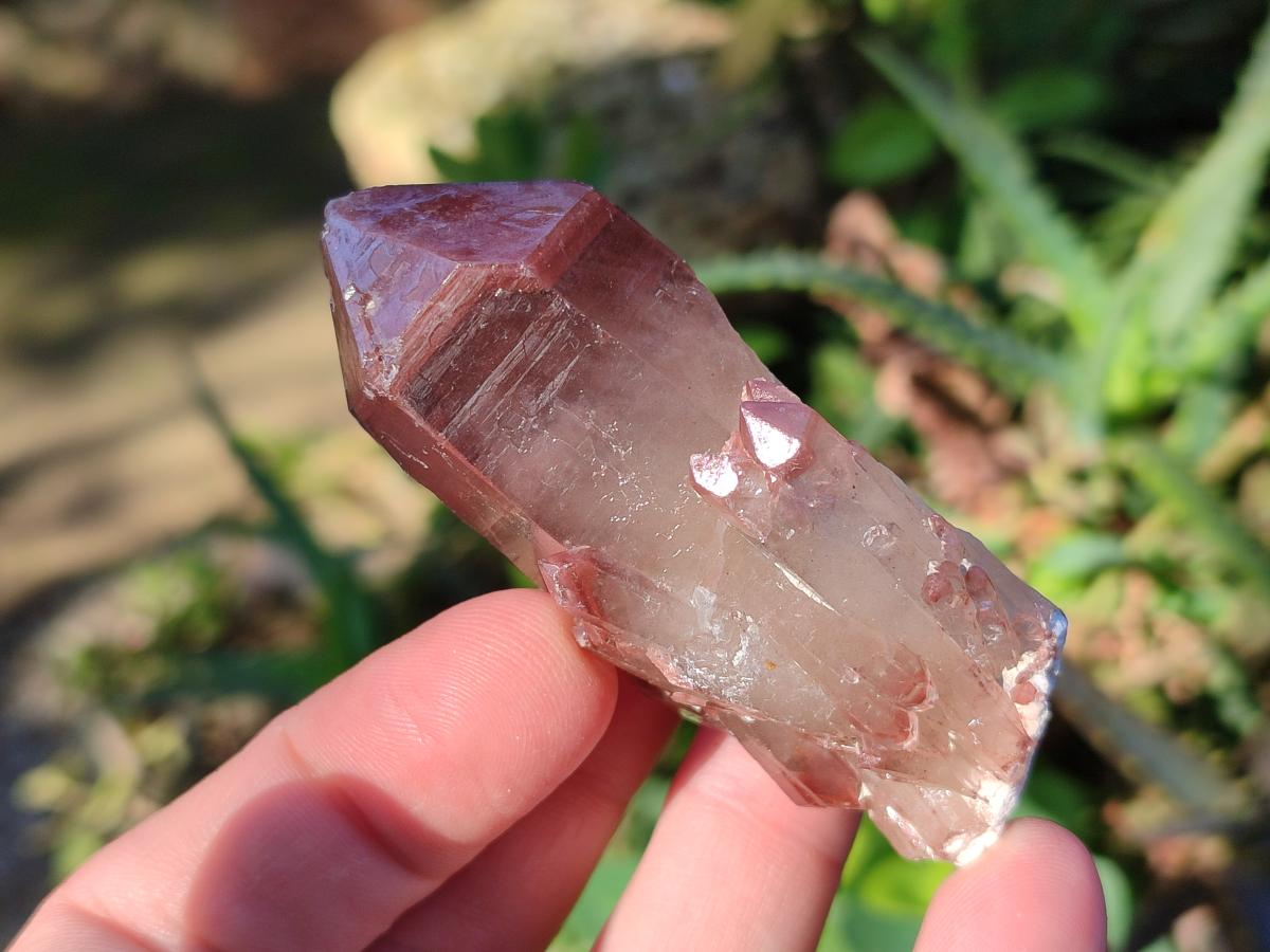 Natural Red Hematoid Quartz Crystals and  Clusters x 13 From Karoi, Zimbabwe