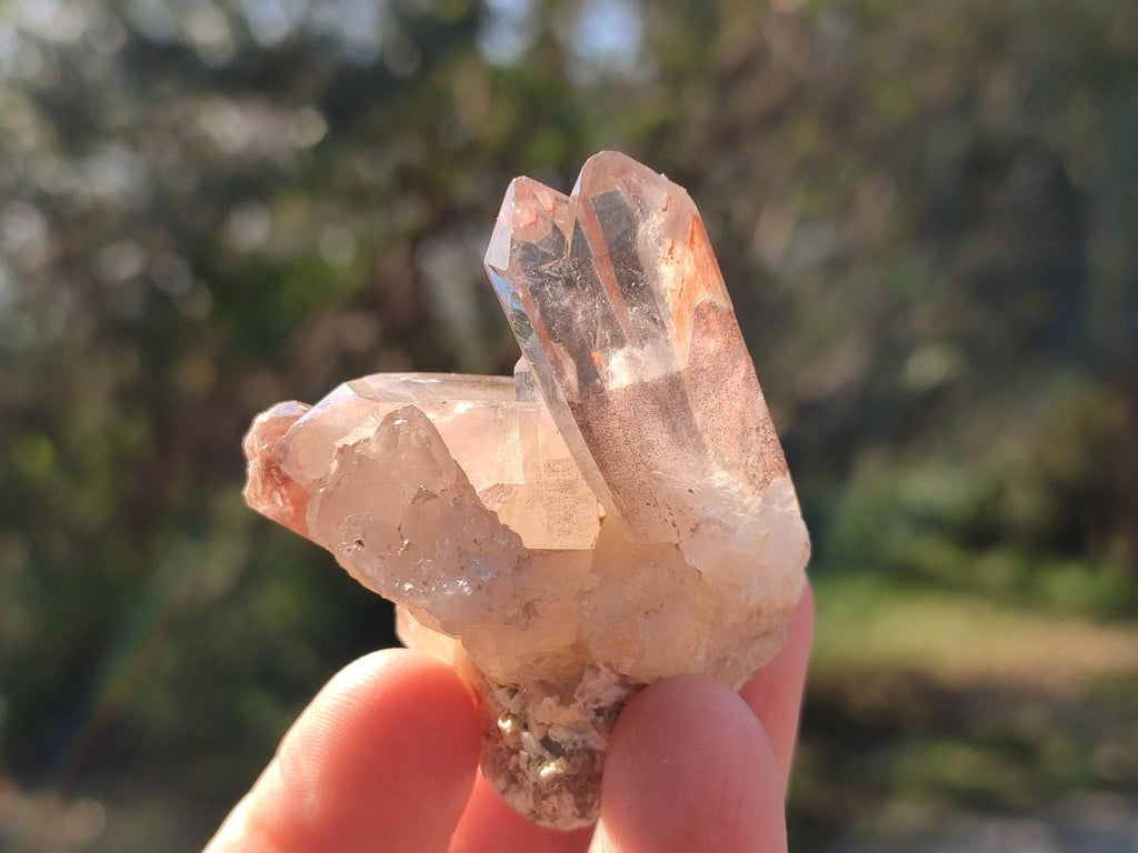 Natural Red Hematoid Quartz Crystals and  Clusters x 13 From Karoi, Zimbabwe - Toprock Gemstones and Minerals 