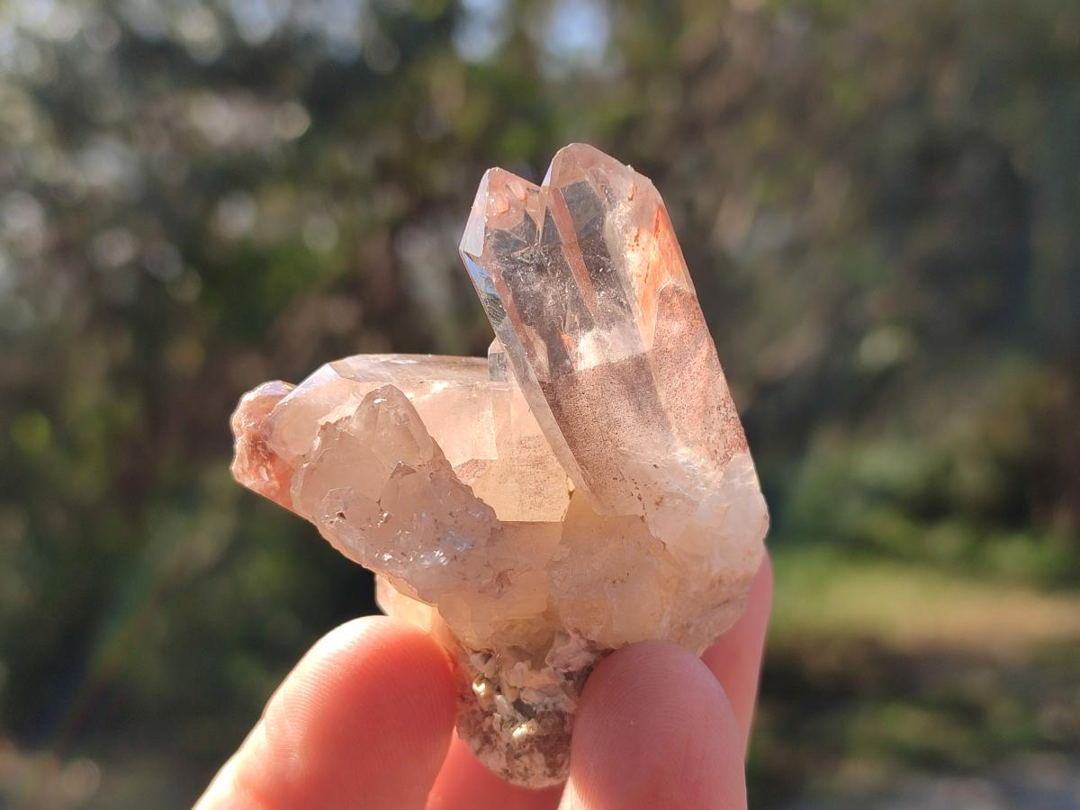 Natural Red Hematoid Quartz Crystals and  Clusters x 13 From Karoi, Zimbabwe - Toprock Gemstones and Minerals 