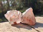 Natural Red Hematoid Quartz Crystals and  Clusters x 13 From Karoi, Zimbabwe - Toprock Gemstones and Minerals 
