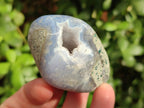 Polished Blue Lace Agate Free Forms x 12 From Nsanje, Malawi - Toprock Gemstones and Minerals 