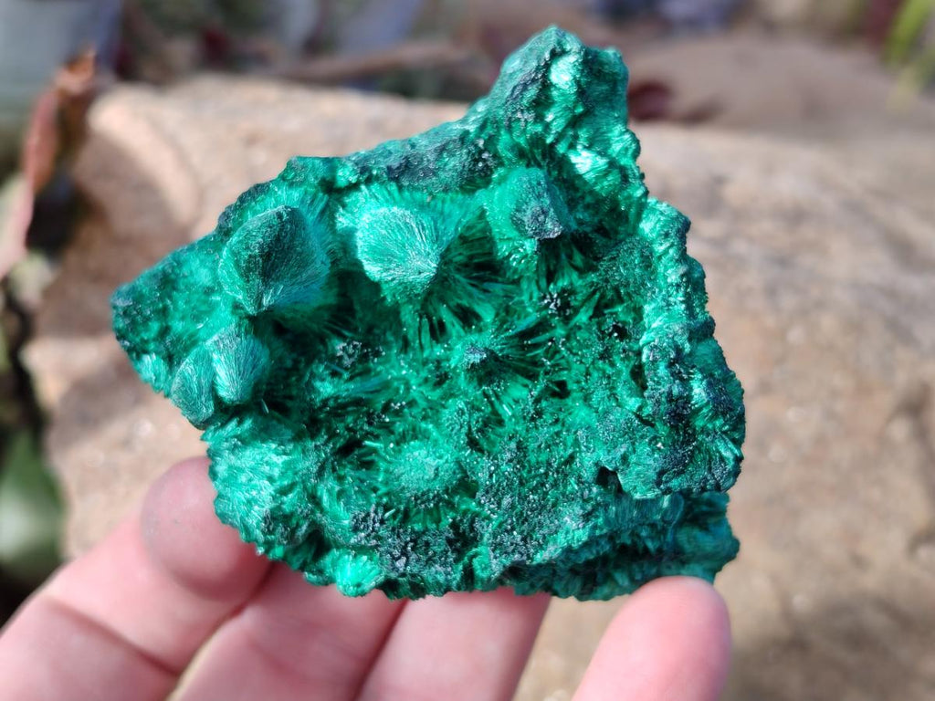 Natural Silky Malachite Specimens x 12 From Kasompe, Congo - Toprock Gemstones and Minerals 