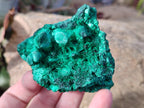Natural Silky Malachite Specimens x 12 From Kasompe, Congo - Toprock Gemstones and Minerals 