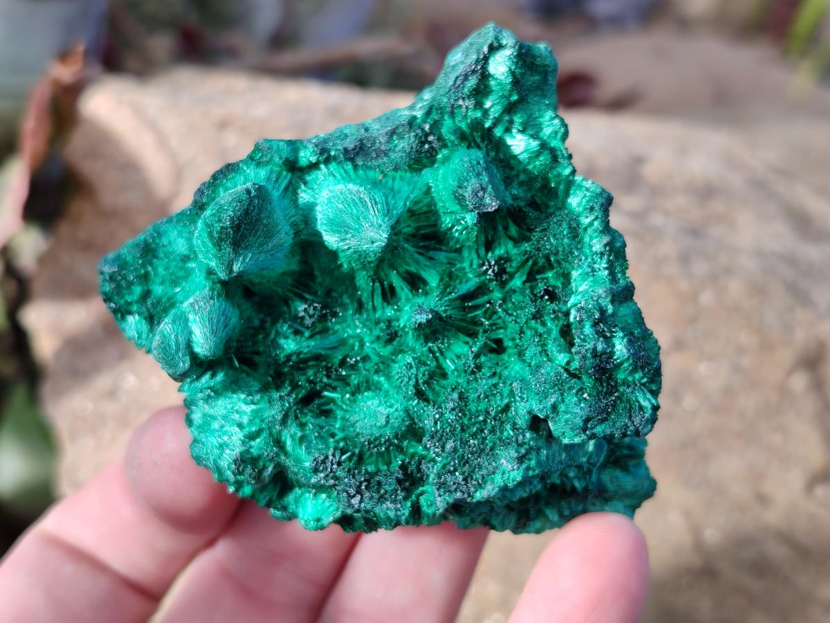 Natural Silky Malachite Specimens x 12 From Kasompe, Congo