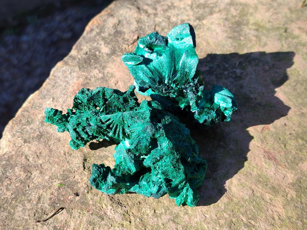Natural Silky Malachite Specimens x 12 From Kasompe, Congo - Toprock Gemstones and Minerals 