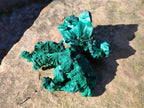 Natural Silky Malachite Specimens x 12 From Kasompe, Congo - Toprock Gemstones and Minerals 