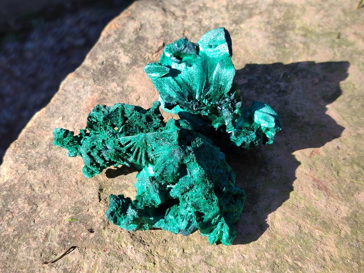 Natural Silky Malachite Specimens x 12 From Kasompe, Congo - Toprock Gemstones and Minerals 