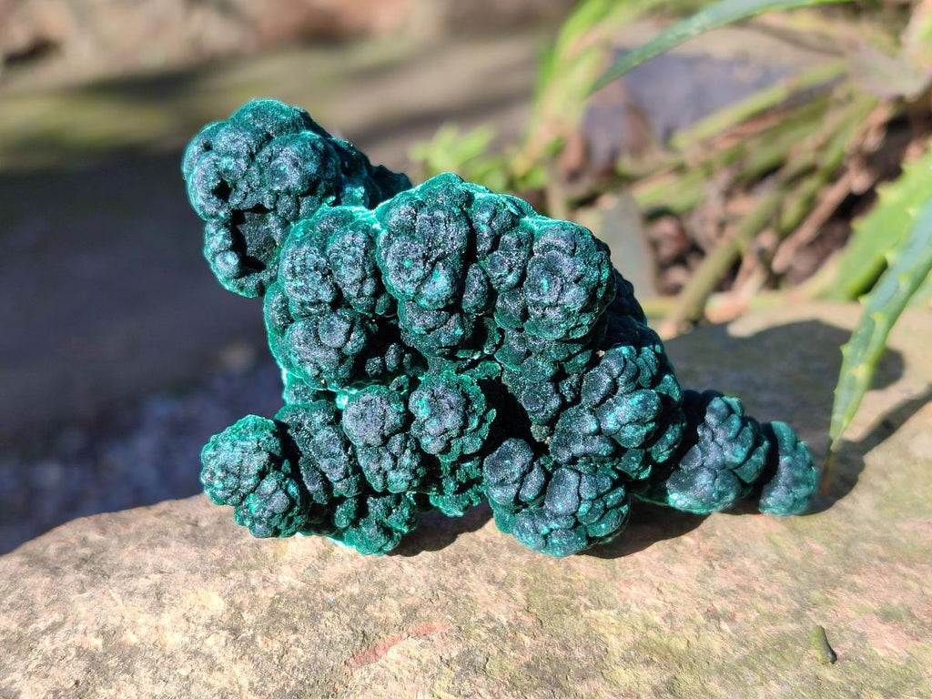 Natural Silky Malachite Specimens x 12 From Kasompe, Congo - Toprock Gemstones and Minerals 
