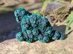 Natural Silky Malachite Specimens x 12 From Kasompe, Congo - Toprock Gemstones and Minerals 