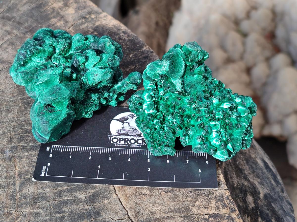 Natural Silky Malachite Specimens x 12 From Kasompe, Congo - Toprock Gemstones and Minerals 