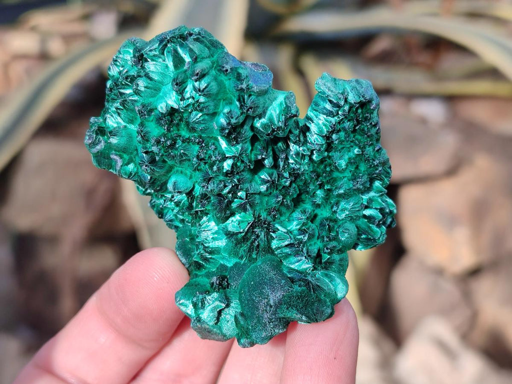Natural Silky Malachite Specimens x 12 From Kasompe, Congo - Toprock Gemstones and Minerals 