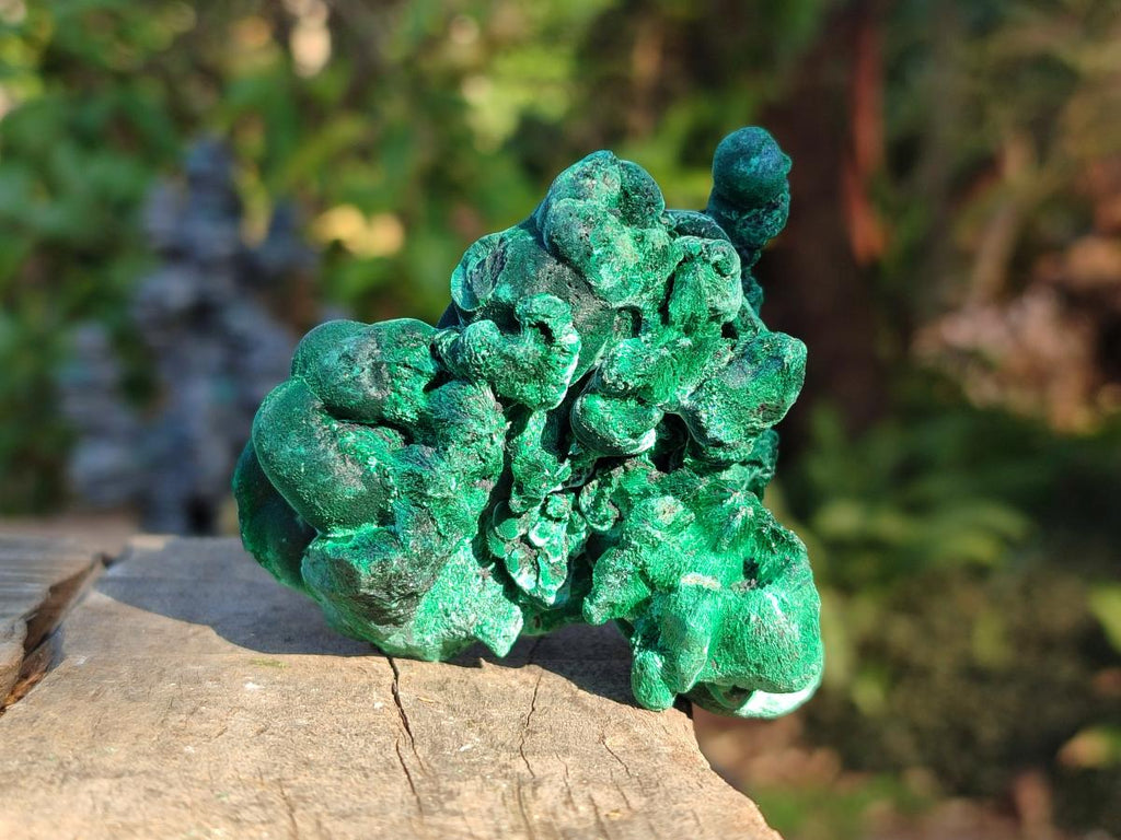 Natural Silky Malachite Specimens x 12 From Kasompe, Congo - Toprock Gemstones and Minerals 