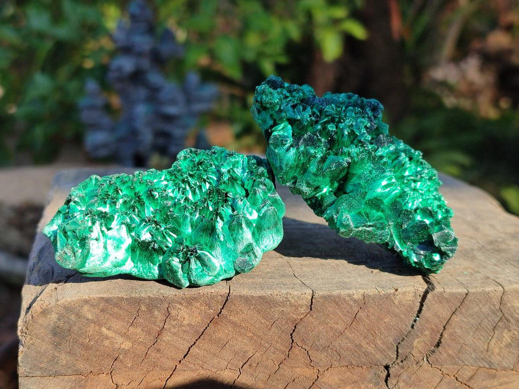Natural Silky Malachite Specimens x 12 From Kasompe, Congo - Toprock Gemstones and Minerals 