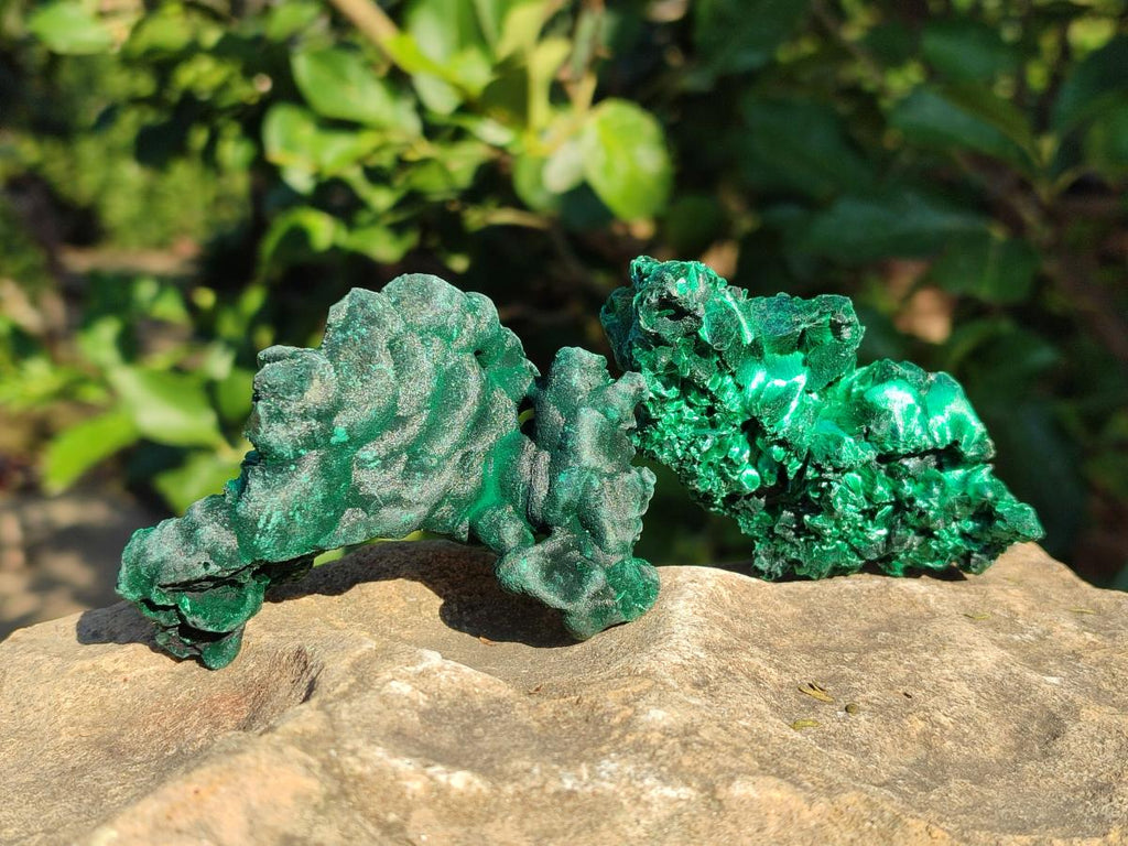 Natural Silky Malachite Specimens x 12 From Kasompe, Congo - Toprock Gemstones and Minerals 