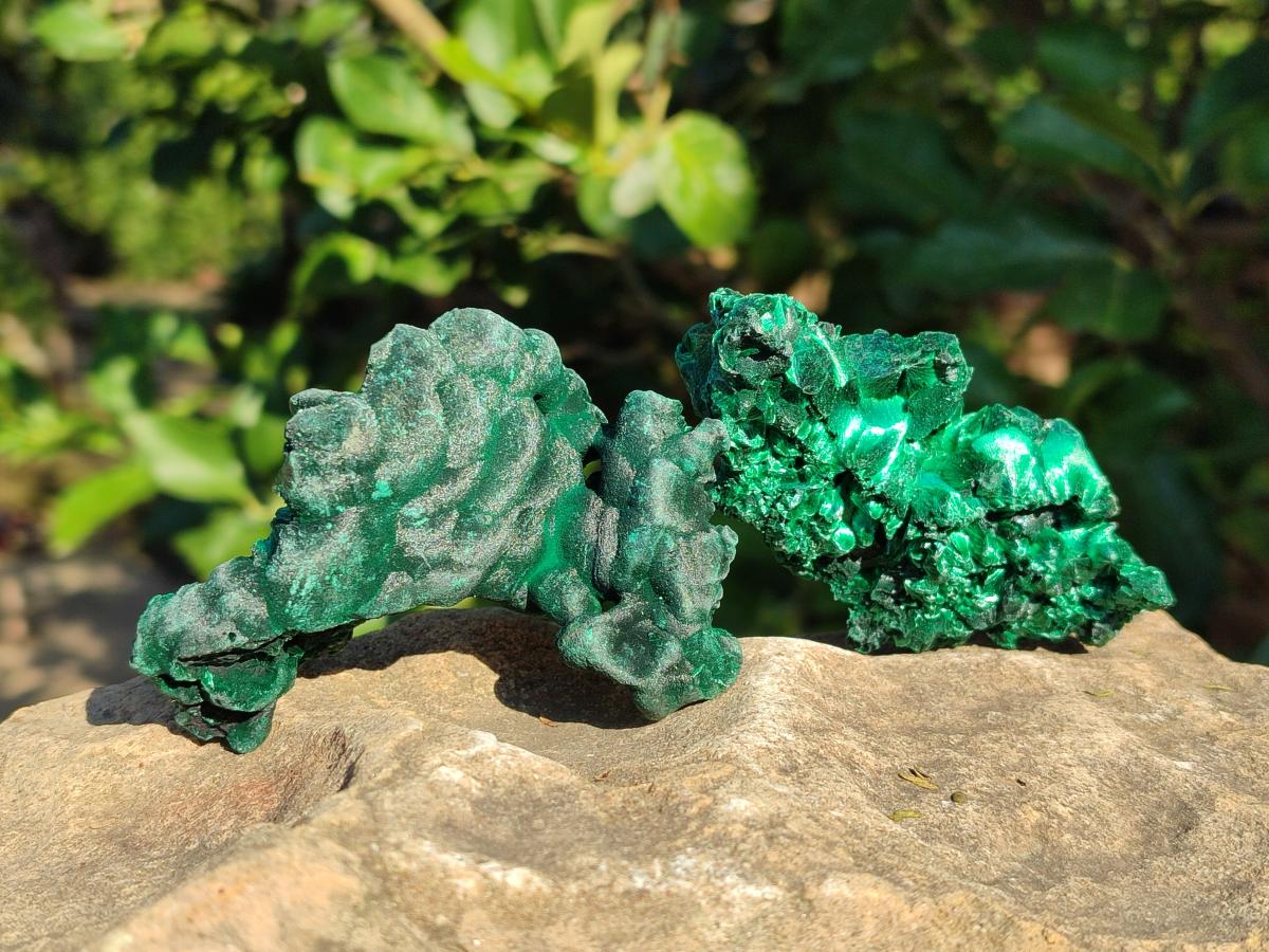 Natural Silky Malachite Specimens x 12 From Kasompe, Congo - Toprock Gemstones and Minerals 