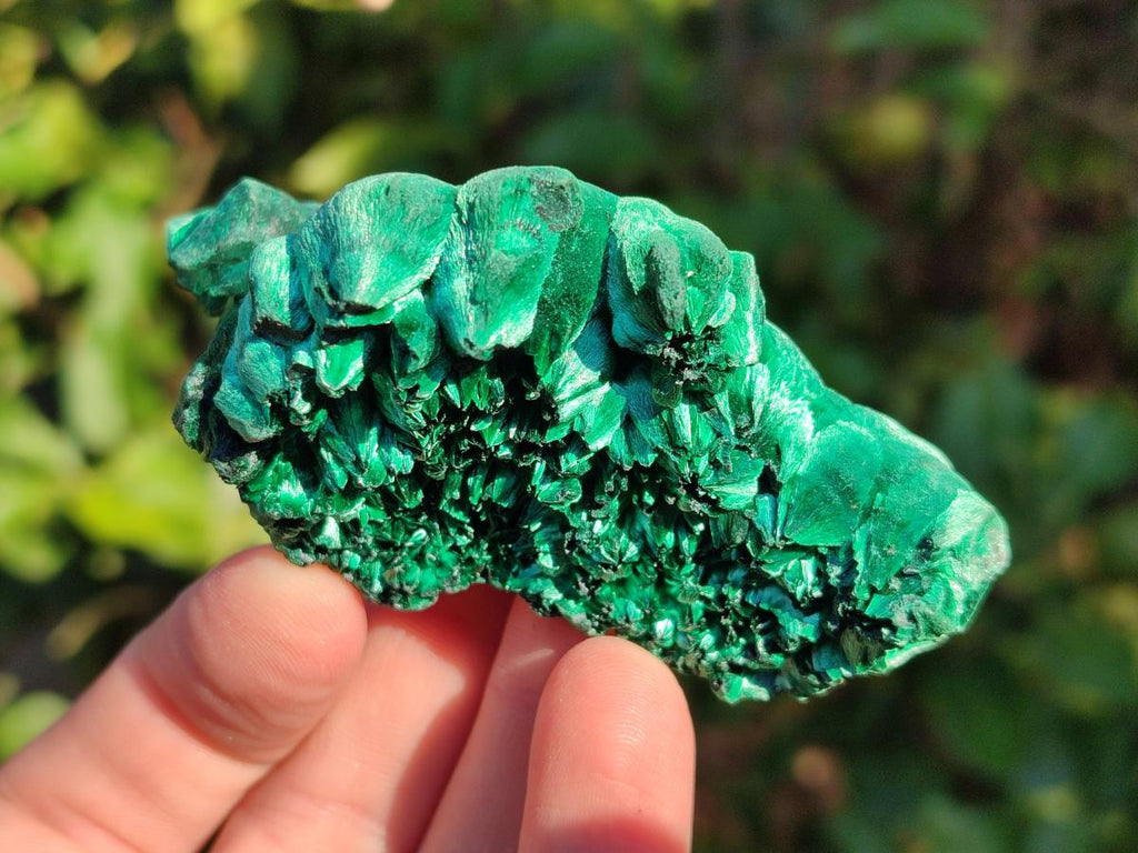 Natural Silky Malachite Specimens x 12 From Kasompe, Congo - Toprock Gemstones and Minerals 