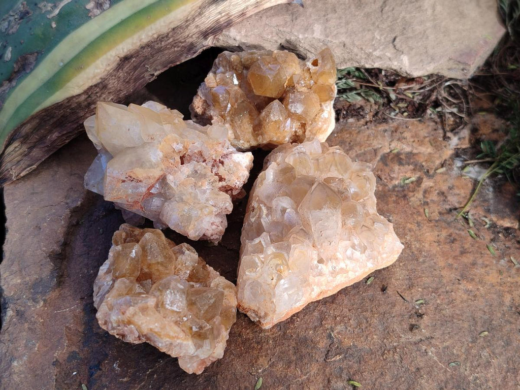 Natural Golden Limonite Quartz Crystal Clusters x 35 From Solwezi, Zambia - Toprock Gemstones and Minerals 