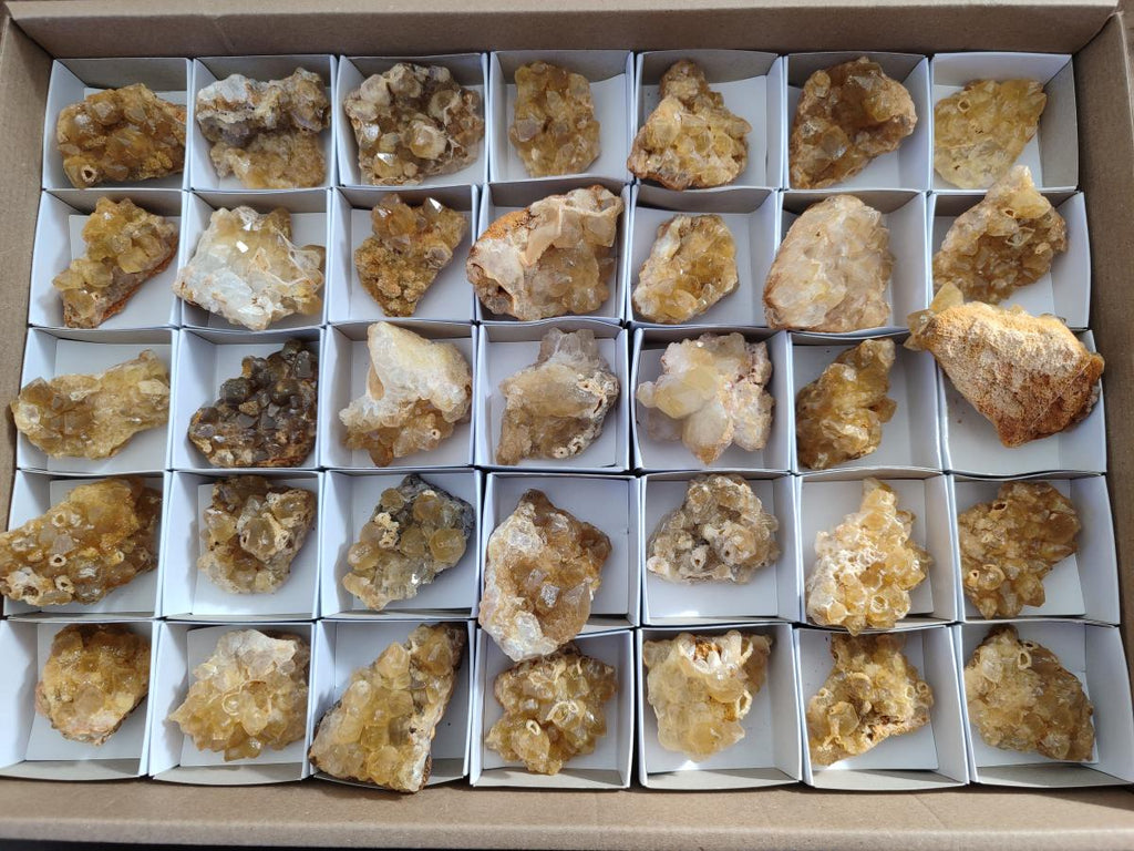 Natural Golden Limonite Quartz Crystal Clusters x 35 From Solwezi, Zambia - Toprock Gemstones and Minerals 