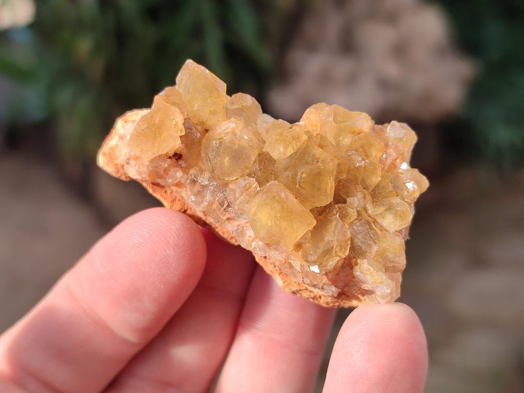 Natural Golden Limonite Quartz Crystal Clusters x 35 From Solwezi, Zambia - Toprock Gemstones and Minerals 