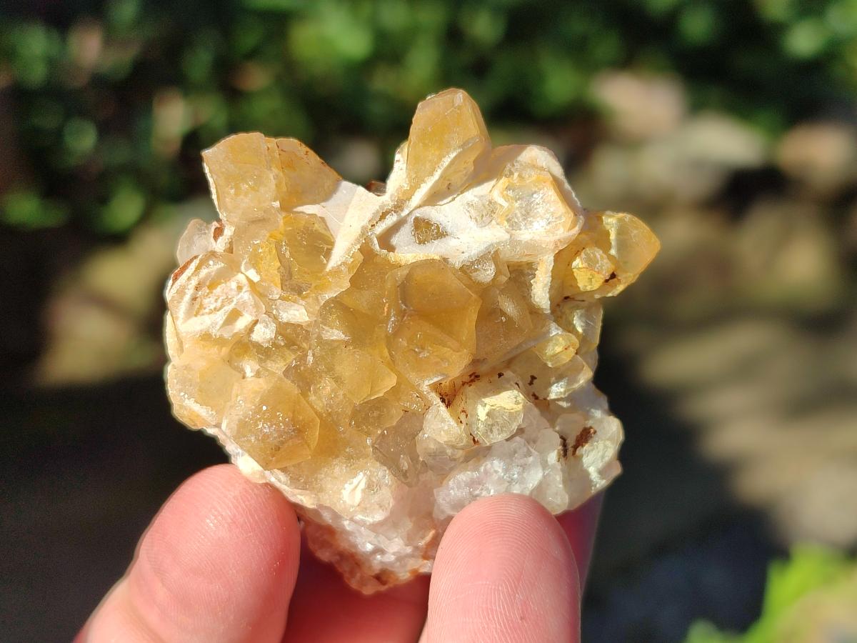Natural Golden Limonite Quartz Crystal Clusters x 35 From Solwezi, Zambia
