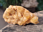 Natural Golden Limonite Quartz Crystal Clusters x 35 From Solwezi, Zambia - Toprock Gemstones and Minerals 